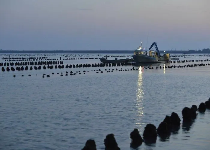 Maisonnette à - Fr-1-194-333 Hébergement de vacances *